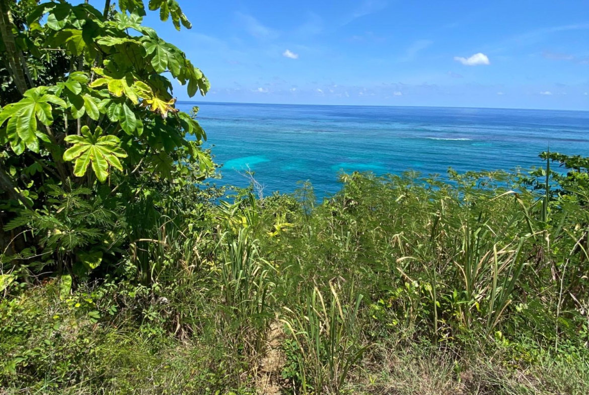 Twelfth image of 4 Boscobel in Boscobel, St. Mary, Jamaica - property is For Sale