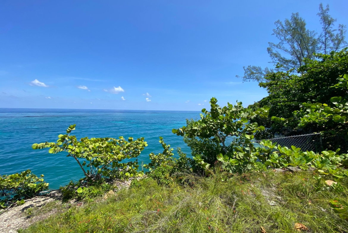 Sixth image of 4 Boscobel in Boscobel, St. Mary, Jamaica - property is For Sale