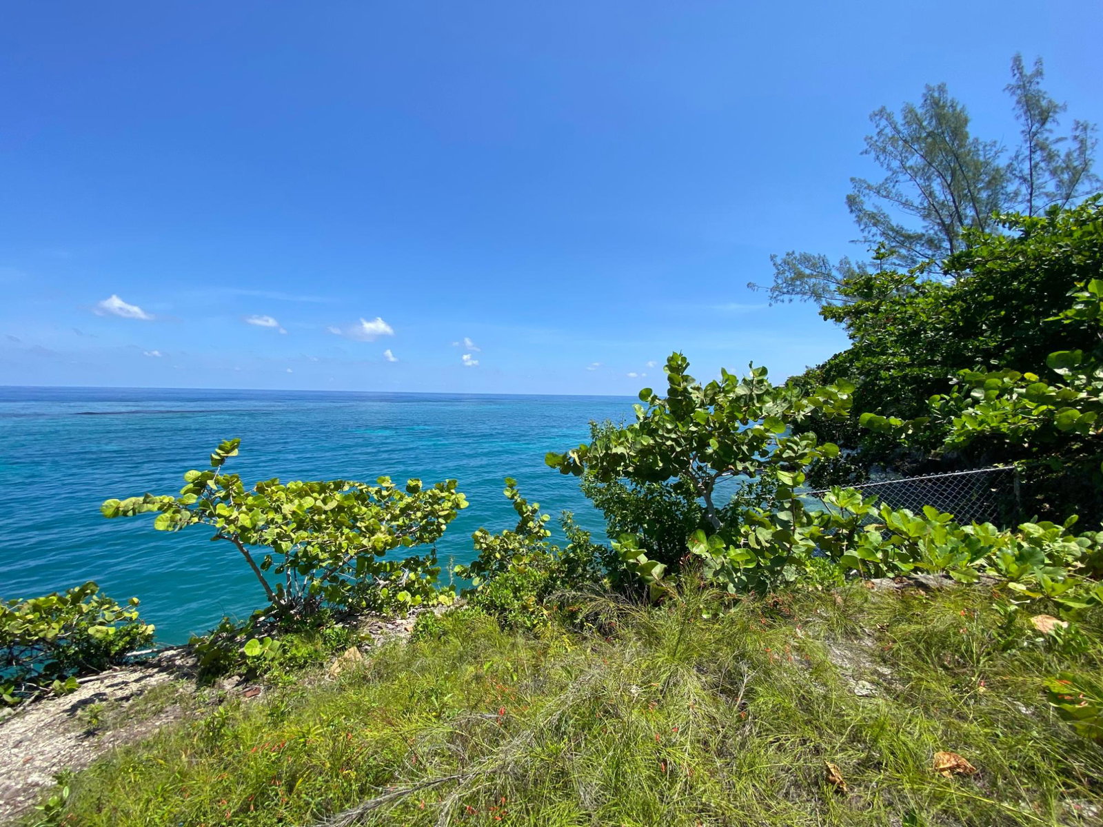 Sixth image of 4 Boscobel in Boscobel, St. Mary, Jamaica - property is For Sale