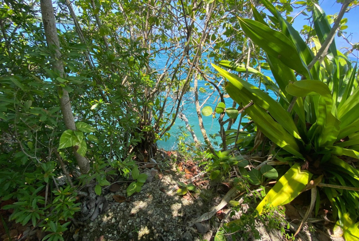 Seventh image of 4 Boscobel in Boscobel, St. Mary, Jamaica - property is For Sale