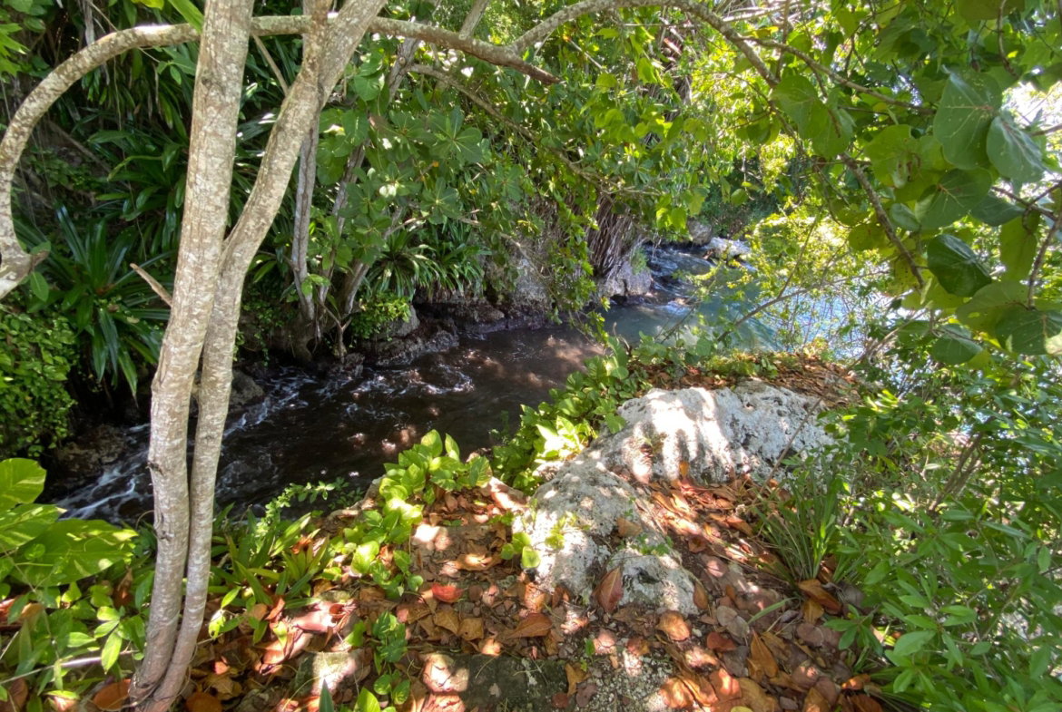 Tenth image of 4 Boscobel in Boscobel, St. Mary, Jamaica - property is For Sale