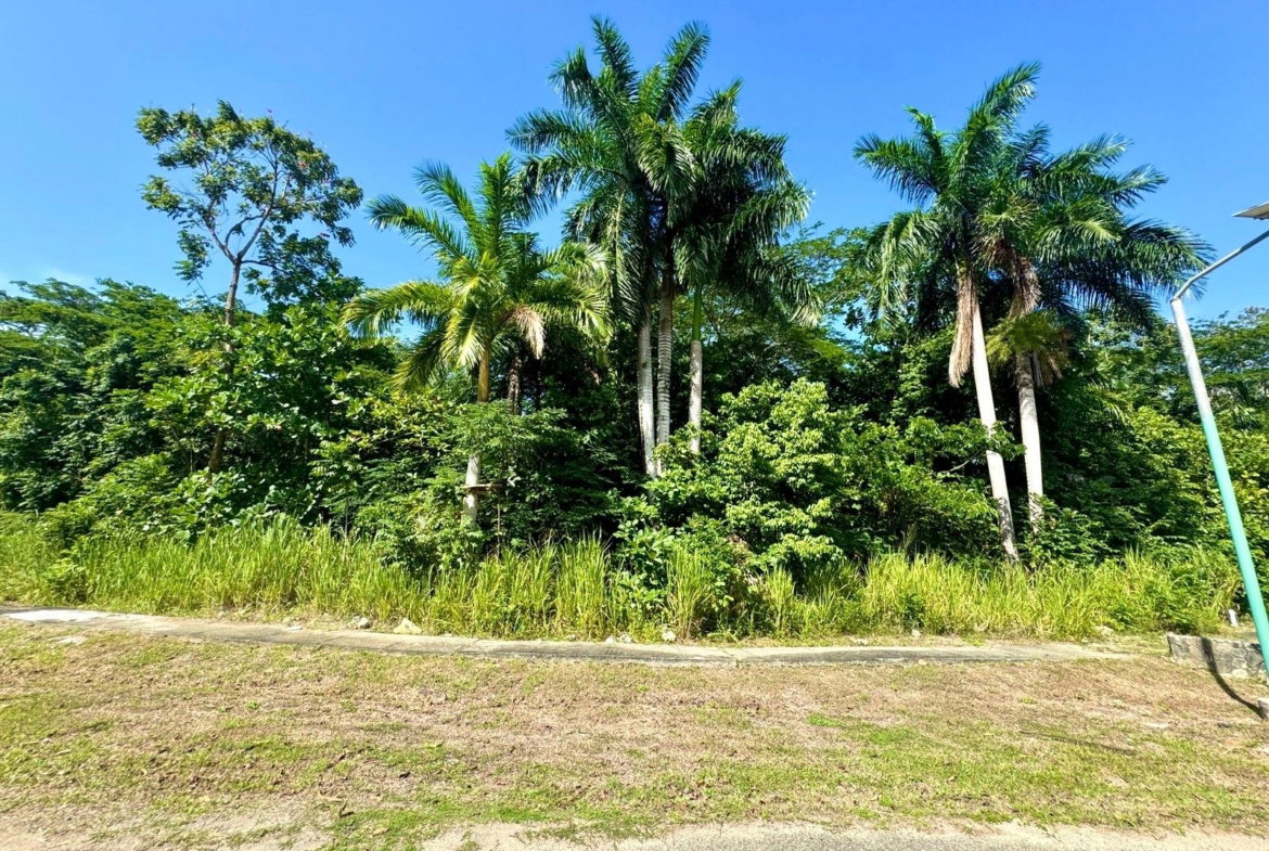 Fifth image of 316- Drax Hall Estate in Drax Hall Estate, St. Ann, Jamaica - property is For Sale