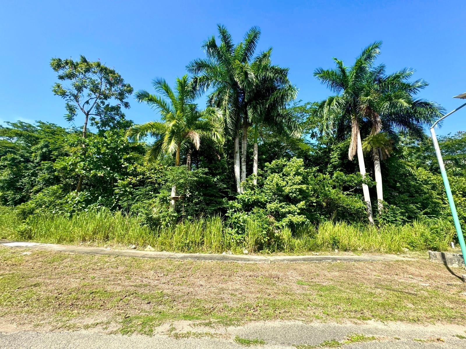 Fifth image of 316- Drax Hall Estate in Drax Hall Estate, St. Ann, Jamaica - property is For Sale