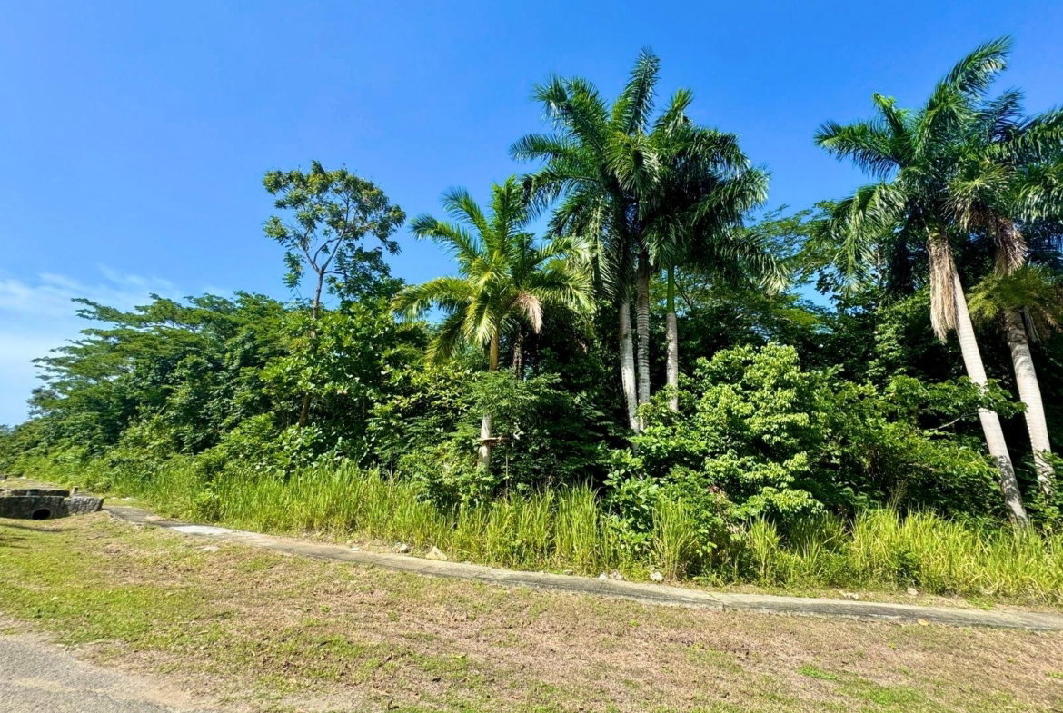 Sixth image of 316- Drax Hall Estate in Drax Hall Estate, St. Ann, Jamaica - property is For Sale