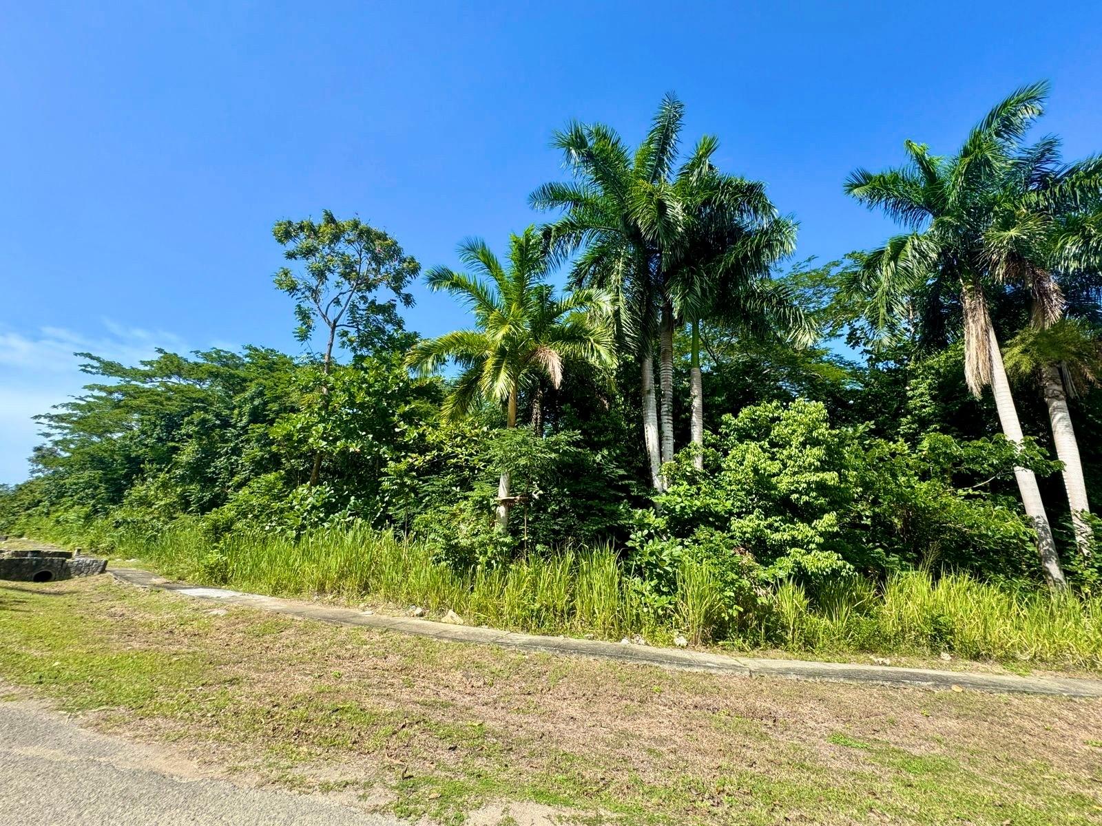 Sixth image of 316- Drax Hall Estate in Drax Hall Estate, St. Ann, Jamaica - property is For Sale