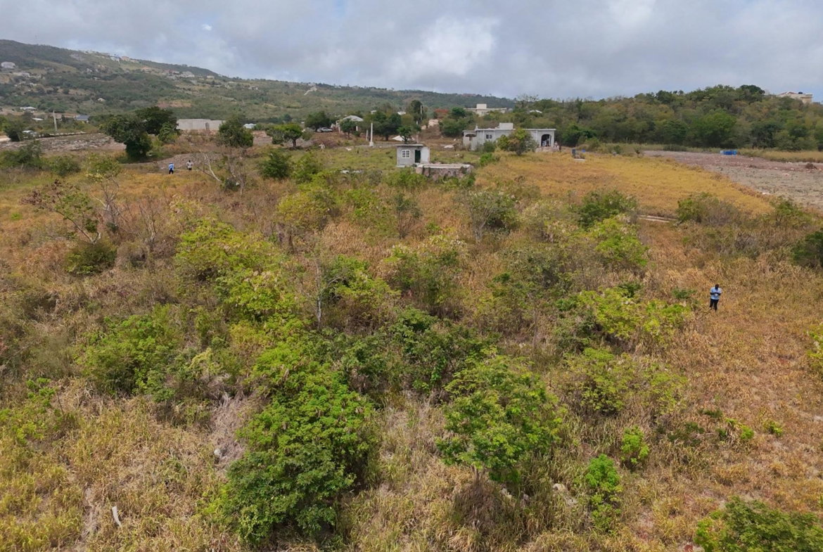 Third image of Lot 2 Malvern Chase in Malvern, St. Elizabeth, Jamaica - property is For Sale