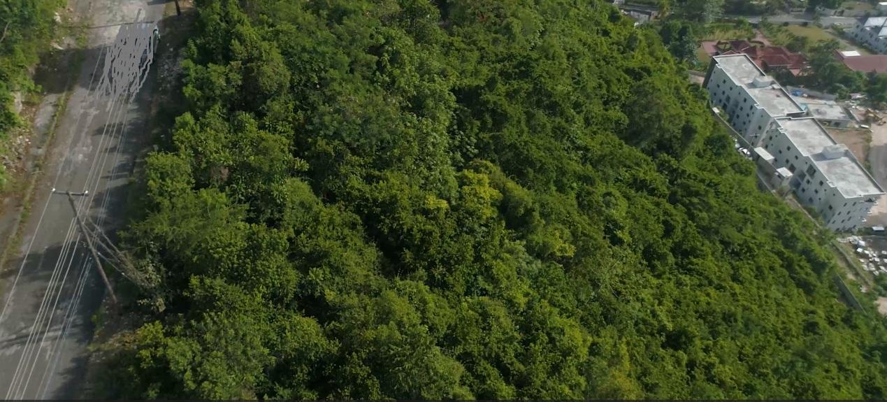 Third image of Rainbow Crescent, Norbr in Kingston 8, St. Andrew, Jamaica - property is For Sale