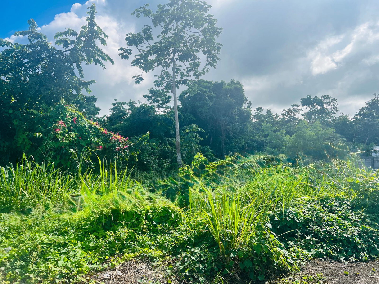 Sixth image of Ocho Rios Bypass, St. Ann in Ocho Rios, St. Ann, Jamaica - property is For Sale