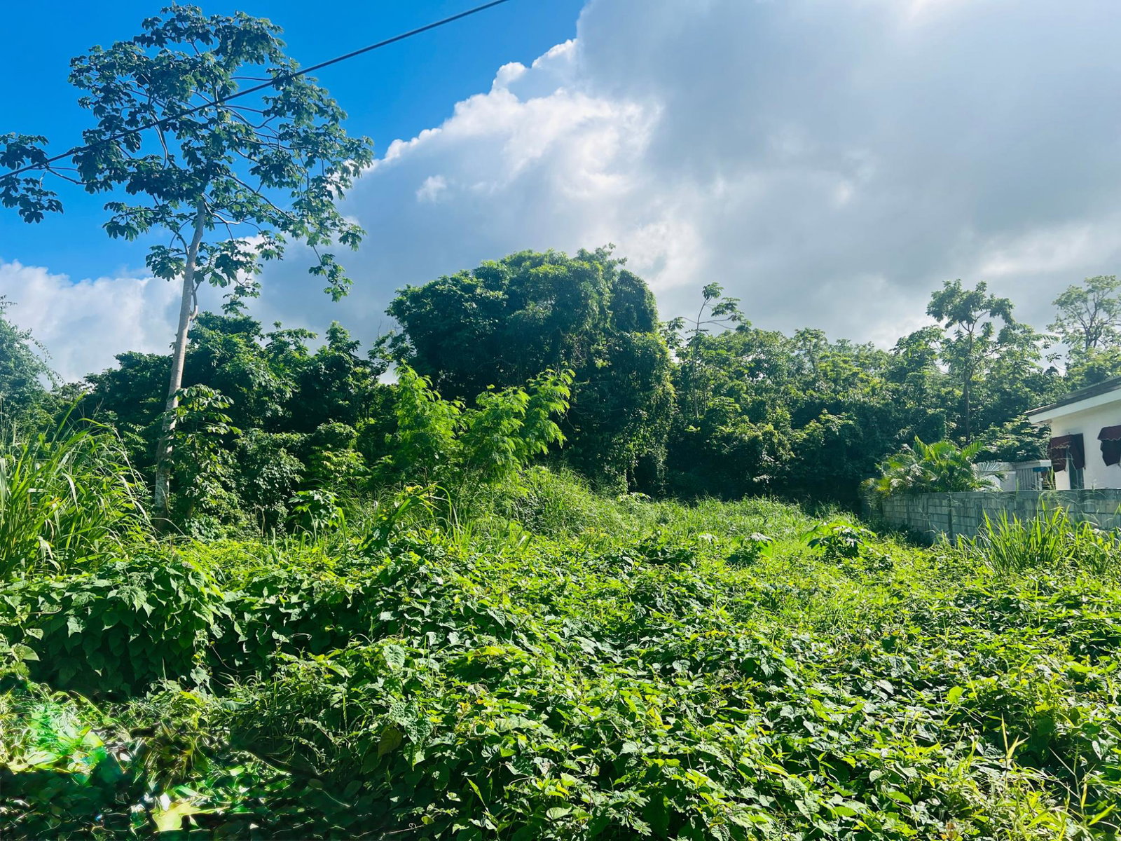 Seventh image of Ocho Rios Bypass, St. Ann in Ocho Rios, St. Ann, Jamaica - property is For Sale