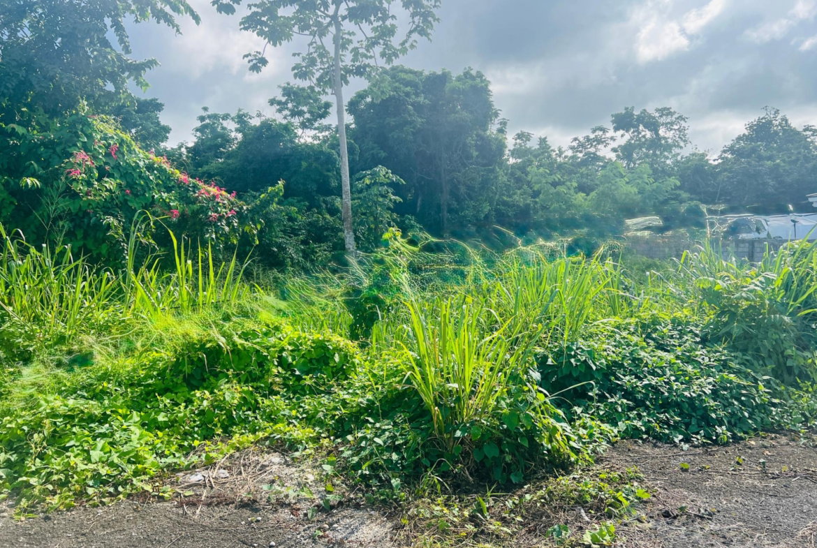 Ninth image of Ocho Rios Bypass, St. Ann in Ocho Rios, St. Ann, Jamaica - property is For Sale
