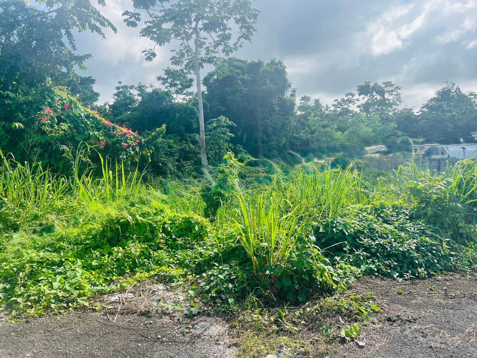 Ninth image of Ocho Rios Bypass, St. Ann in Ocho Rios, St. Ann, Jamaica - property is For Sale