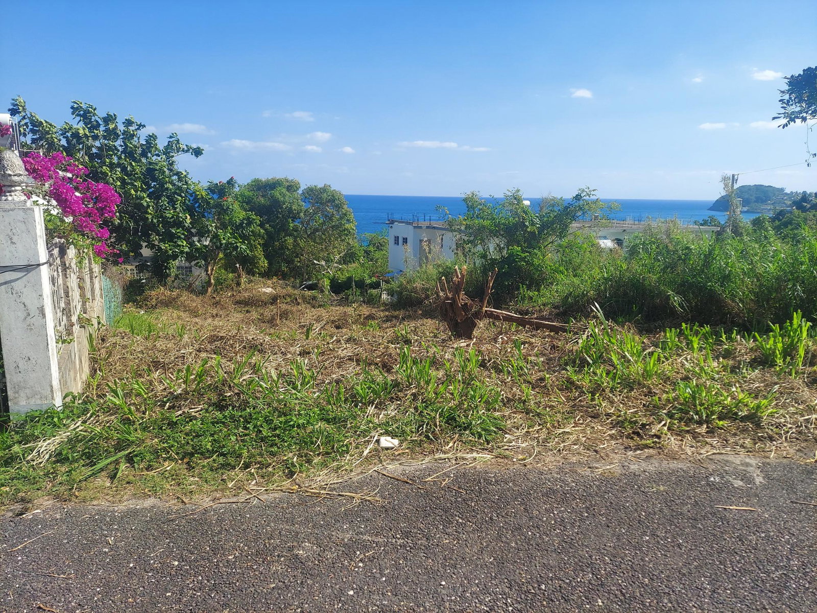 Fourth image of Orchard Housing Scheme, h in Hopewell, Hanover, Jamaica - property is For Sale