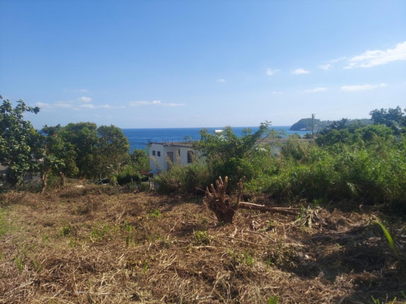 First image of Orchard Housing Scheme, h in Hopewell, Hanover, Jamaica - property is For Sale