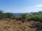 First image of Orchard Housing Scheme, h in Hopewell, Hanover, Jamaica - property is For Sale