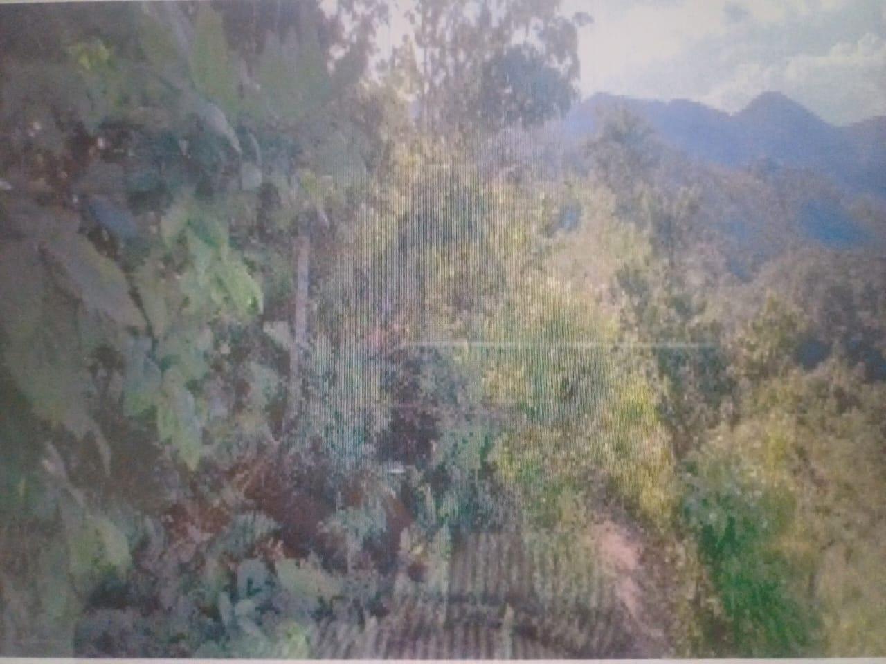 Second image of 15 Prosper Hall, Claremont, in Claremont, St. Ann, Jamaica - property is For Sale