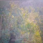 First image of 15 Prosper Hall, Claremont, in Claremont, St. Ann, Jamaica - property is For Sale