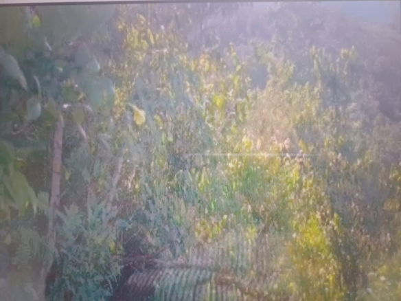 First image of 15 Prosper Hall, Claremont, in Claremont, St. Ann, Jamaica - property is For Sale