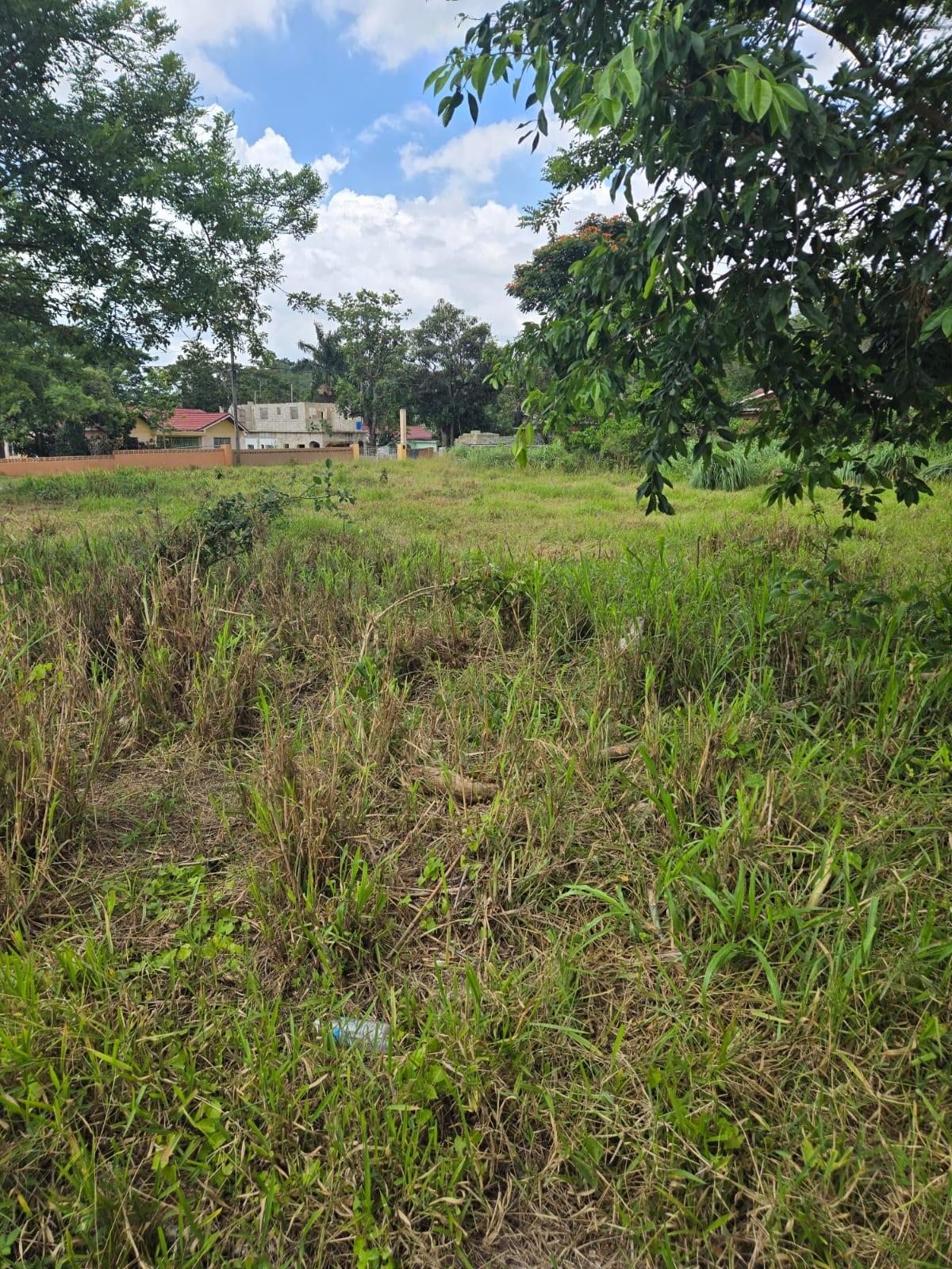 Second image of Picadilly Drive, Caledoni in Mandeville, Manchester, Jamaica - property is For Sale