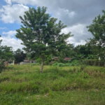First image of Picadilly Drive, Caledoni in Mandeville, Manchester, Jamaica - property is For Sale