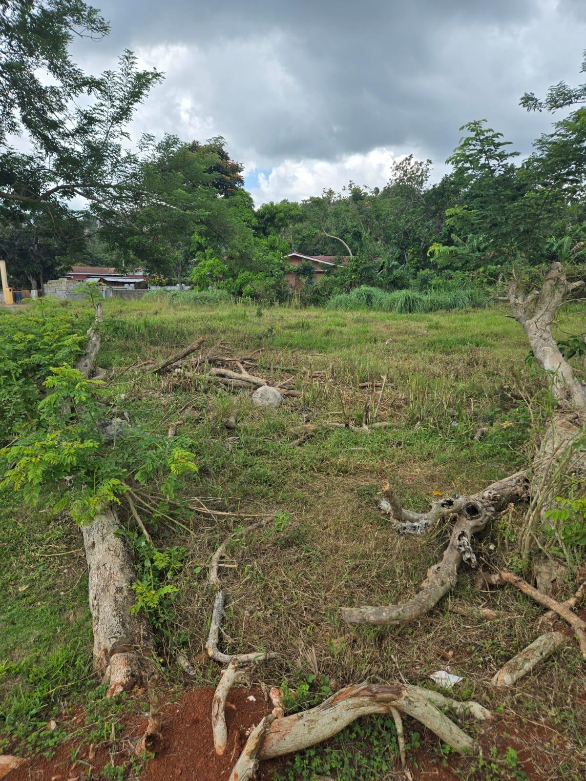 Third image of Picadilly Drive, Caledoni in Mandeville, Manchester, Jamaica - property is For Sale