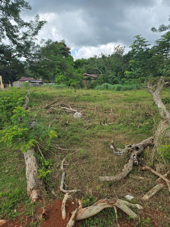 Third image of Picadilly Drive, Caledoni in Mandeville, Manchester, Jamaica - property is For Sale