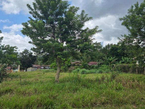 First image of Picadilly Drive, Caledoni in Mandeville, Manchester, Jamaica - property is For Sale