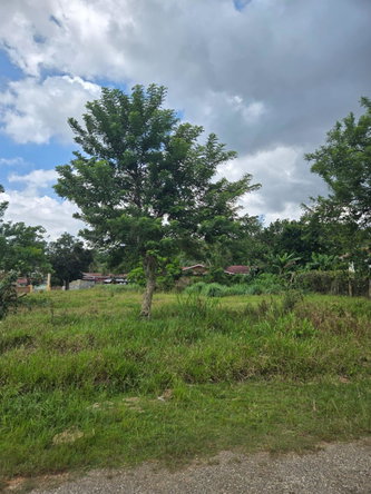 First image of Picadilly Drive, Caledoni in Mandeville, Manchester, Jamaica - property is For Sale