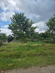 First image of Picadilly Drive, Caledoni in Mandeville, Manchester, Jamaica - property is For Sale