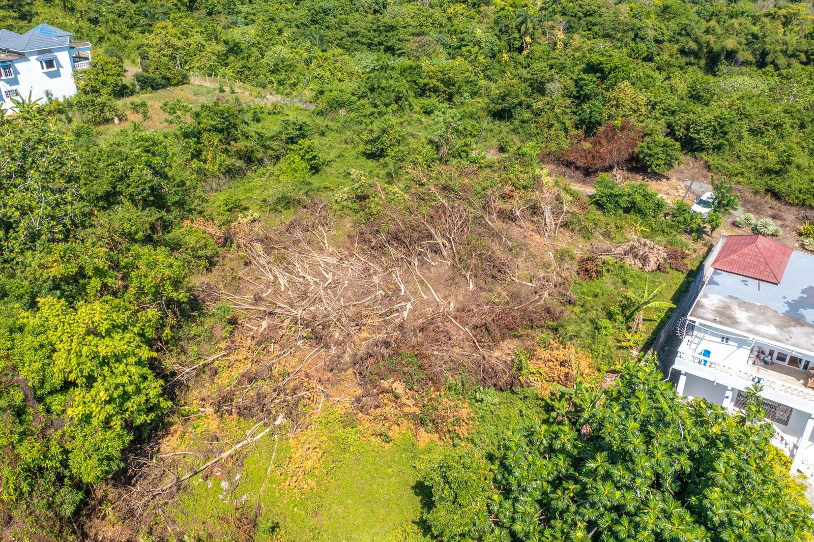 Quarter-Acre-Residential-Lots-for-Sale-in-Portland-Jamaica-–-Sea-Views-Prime-Location Twenty-Second image of Scottes River in Happy Grove, Portland, Jamaica - property is For Sale