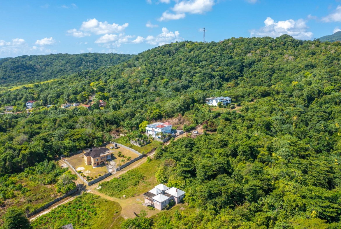 Twenty-Sixth image of Scottes River in Happy Grove, Portland, Jamaica - property is For Sale