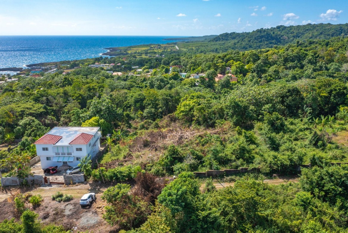 Eleventh image of Scottes River in Happy Grove, Portland, Jamaica - property is For Sale