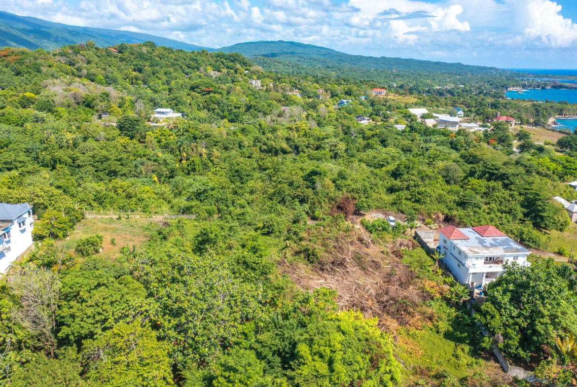 Twentieth image of Scottes River in Happy Grove, Portland, Jamaica - property is For Sale