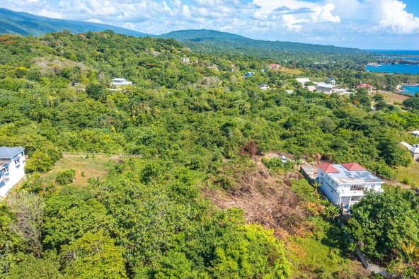 Twentieth image of Scottes River in Happy Grove, Portland, Jamaica - property is For Sale