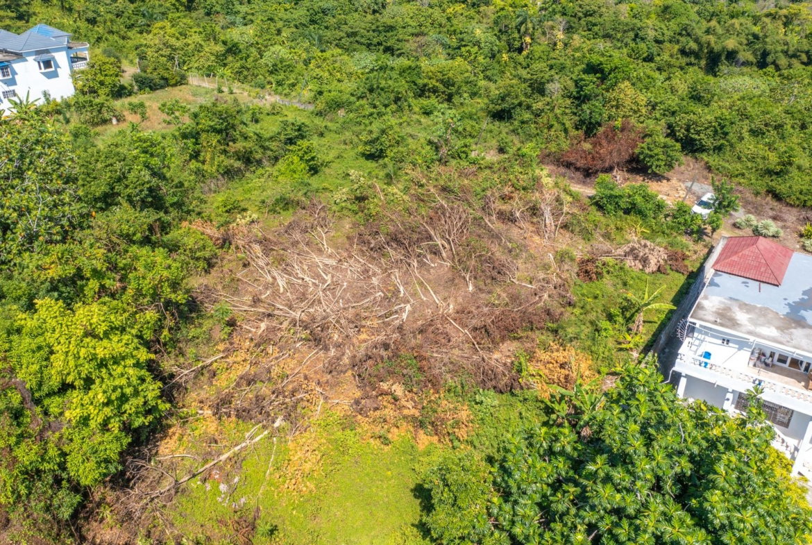 Twenty-Second image of Scottes River in Happy Grove, Portland, Jamaica - property is For Sale