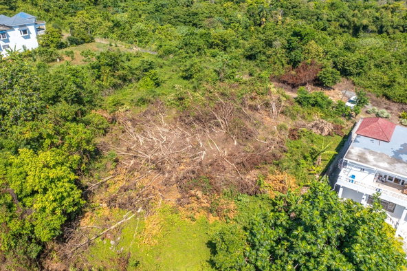 Twenty-Second image of Scottes River in Happy Grove, Portland, Jamaica - property is For Sale