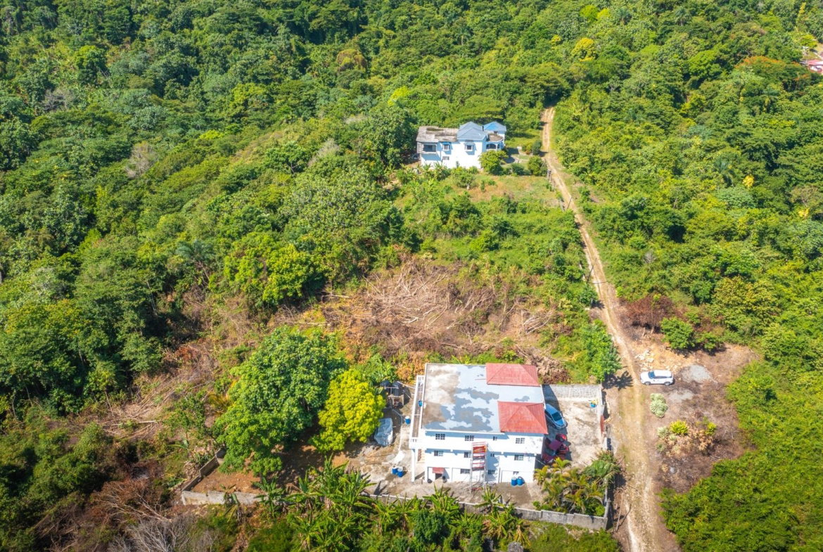 Twenty-Fourth image of Scottes River in Happy Grove, Portland, Jamaica - property is For Sale