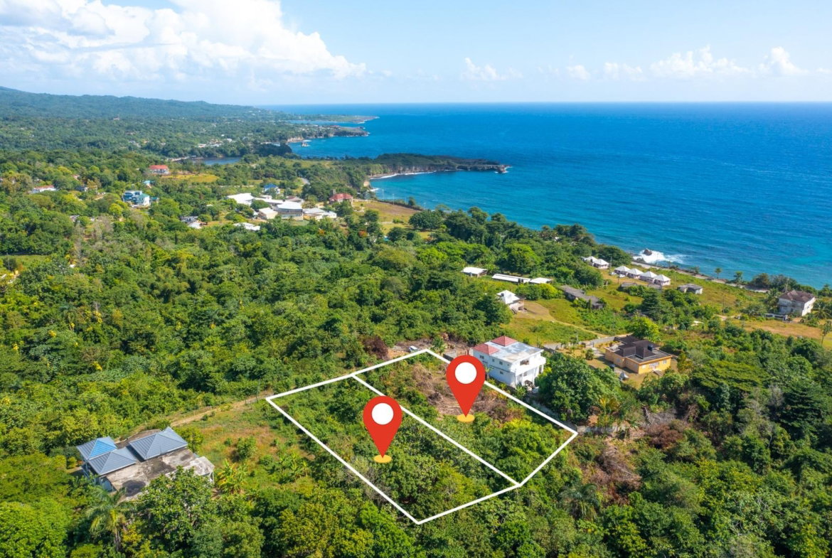 Twenty-Eighth image of Scottes River in Happy Grove, Portland, Jamaica - property is For Sale