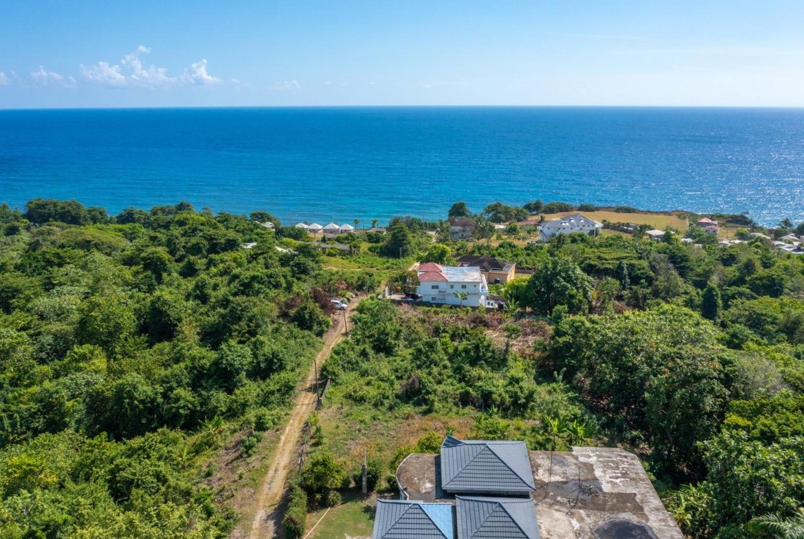 Ninth image of Scottes River in Happy Grove, Portland, Jamaica - property is For Sale