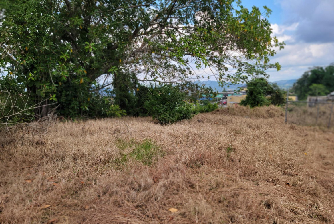Eleventh image of Christiana in Christiana, Manchester, Jamaica - property is For Sale