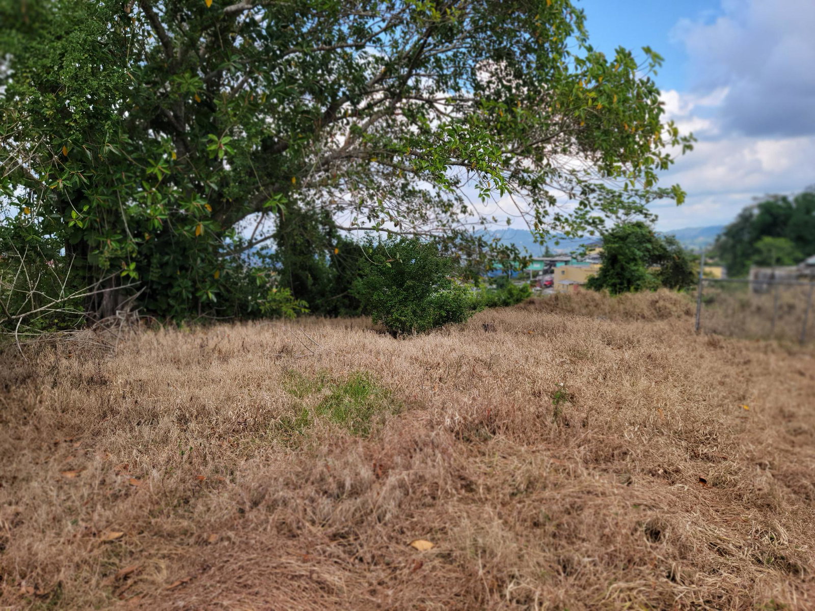 Rare-Large-Lot-with-House-for-Sale-in-Christiana-Manchester-Jamaica Eleventh image of Christiana in Christiana, Manchester, Jamaica - property is For Sale