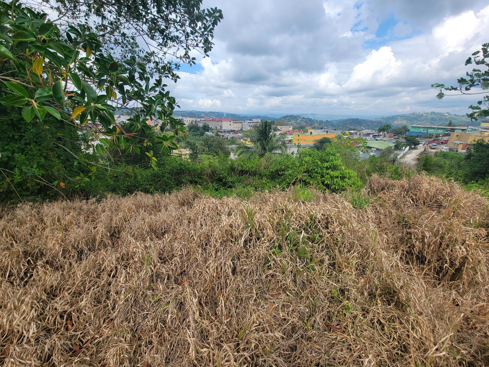 Rare-Large-Lot-with-House-for-Sale-in-Christiana-Manchester-Jamaica Fifteenth image of Christiana in Christiana, Manchester, Jamaica - property is For Sale