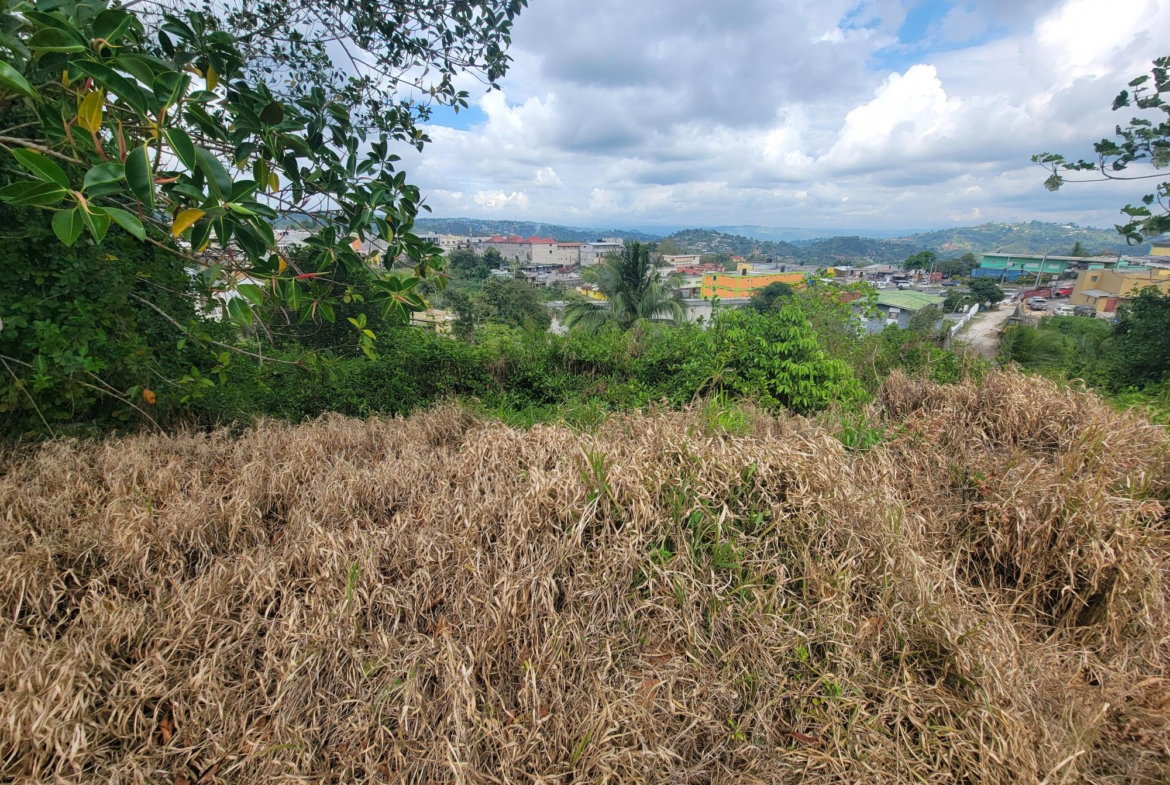 Seventeenth image of Christiana in Christiana, Manchester, Jamaica - property is For Sale