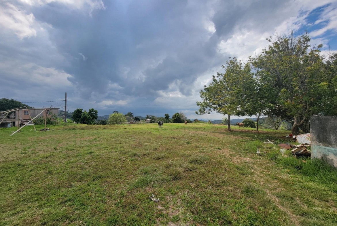 Fifth image of Christiana in Christiana, Manchester, Jamaica - property is For Sale