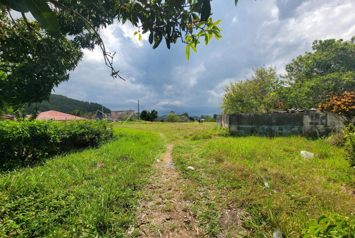 Seventh image of Christiana in Christiana, Manchester, Jamaica - property is For Sale