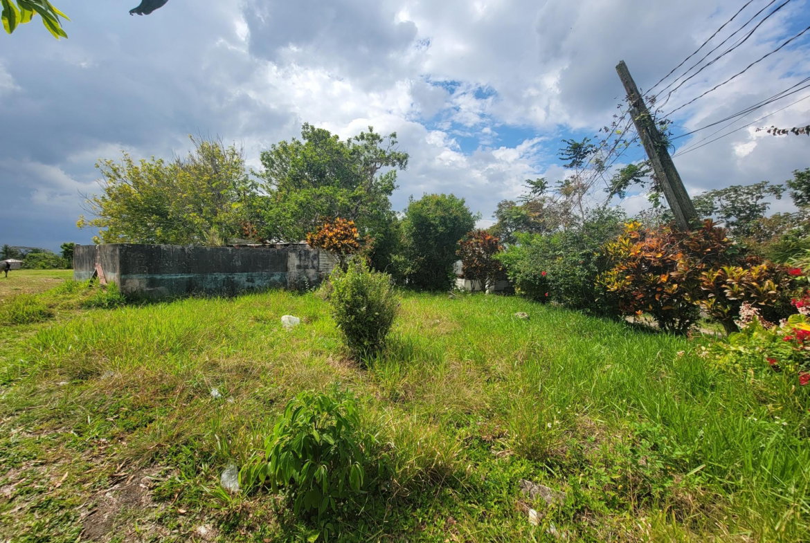 Ninth image of Christiana in Christiana, Manchester, Jamaica - property is For Sale