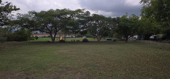 Twenty-Third image of Apt 4-133 Pine Boulevard in Kingston 6, St. Andrew, Jamaica - property is For Rent