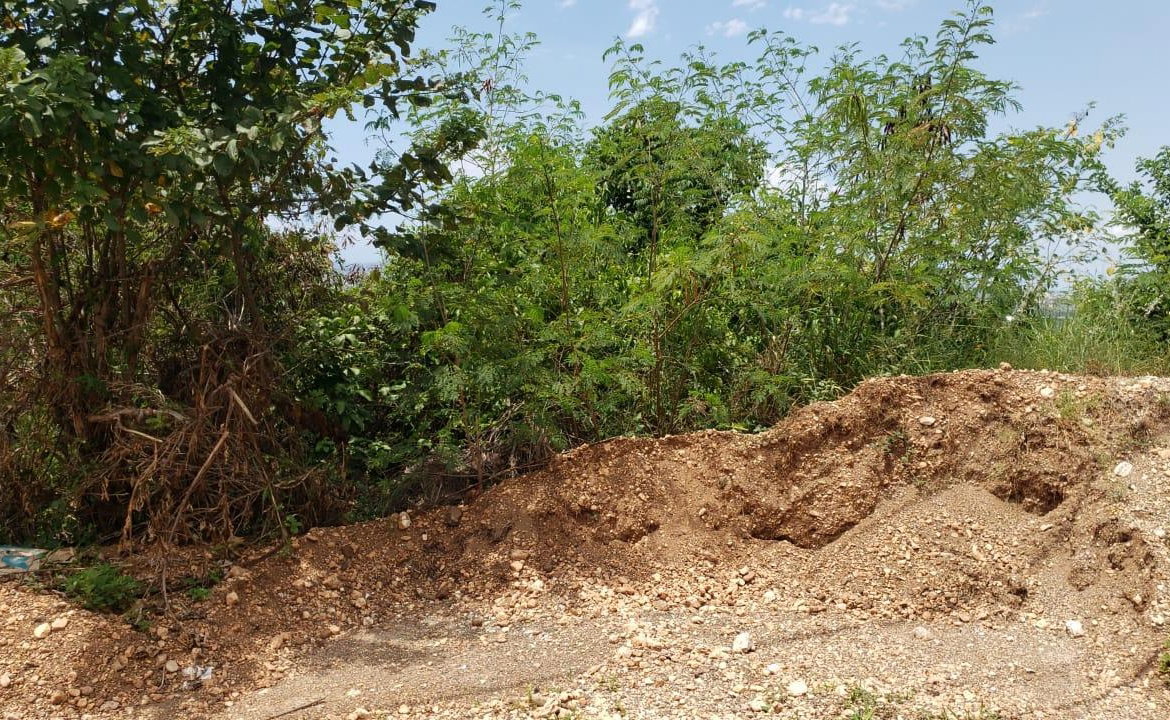 Second image of Lot 98 Catherine Drive in Kingston 19, St. Andrew, Jamaica - property is For Sale