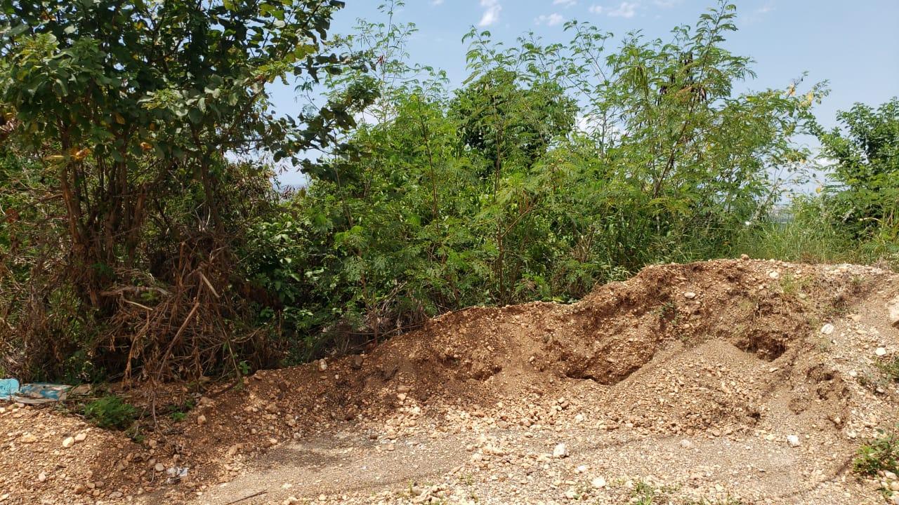 Second image of Lot 98 Catherine Drive in Kingston 19, St. Andrew, Jamaica - property is For Sale