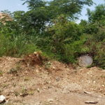 First image of Lot 98 Catherine Drive in Kingston 19, St. Andrew, Jamaica - property is For Sale