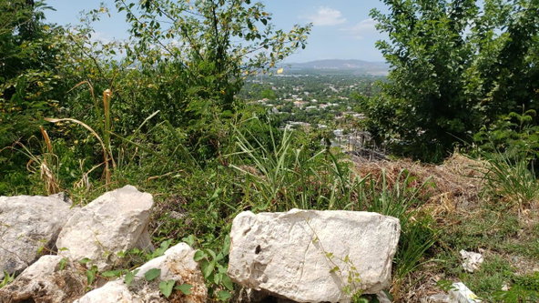 Fourth image of Lot 98 Catherine Drive in Kingston 19, St. Andrew, Jamaica - property is For Sale